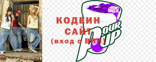 твердый Вяземский