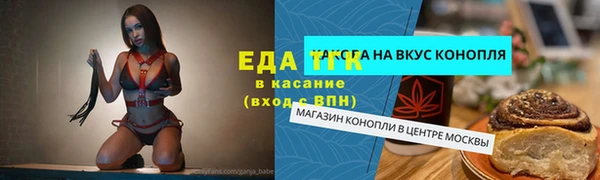 твердый Вяземский