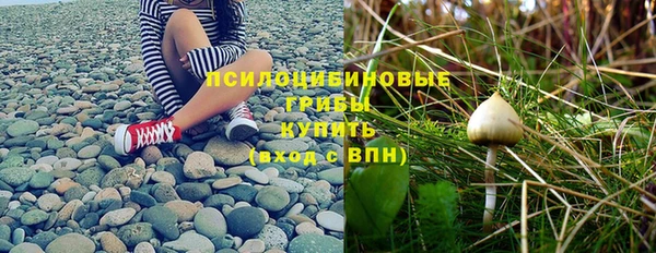 СК Вязники